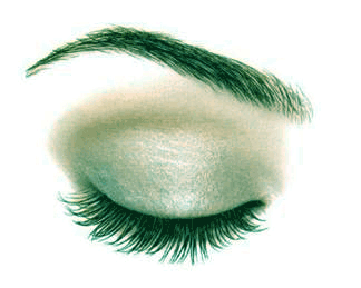 eyebrow transplant surgery results illustration